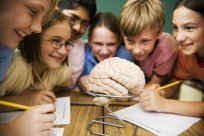 Students Studying Human Brain in Science Class