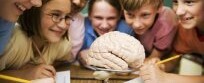 Students Studying Human Brain in Science Class